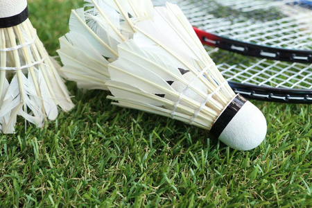 却始终未能 却始终未能